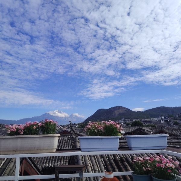 天台花台与远山